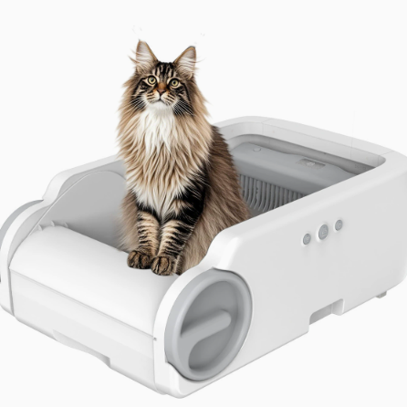 Intelligente selbstreinigende Katzentoilette